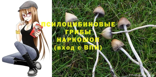 ALPHA PVP Баксан